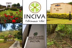 noticias-destacadas/atencion-al-publico-en-centros-de-inciva-en-navidad-y-ano-nuevo